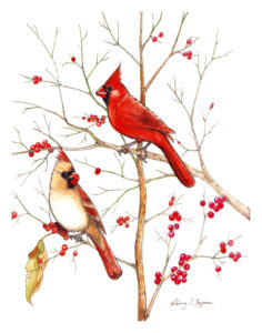 "Together Forever" Cardinal