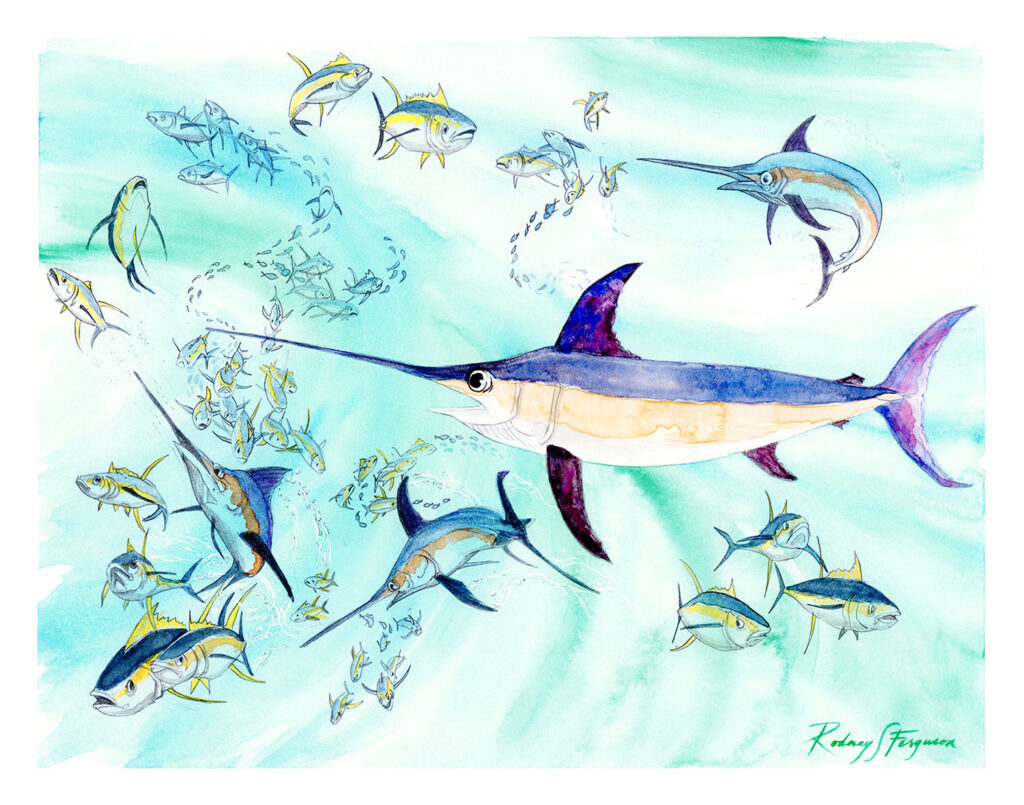 Original watercolor painting by nationally acclaimed artist Rodney Ferguson featuring a majestic swordfish swimming among schools of yellowfin tuna and baitfish in the open ocean. Multiple billfish maneuver through turquoise waters while pursuing prey in a dynamic pelagic ecosystem. Fine art marine wildlife watercolor celebrating offshore fishing, ocean biodiversity, big game fish, and marine conservation.