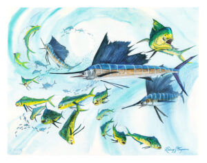 "Feeding Frenzy" Sailfish