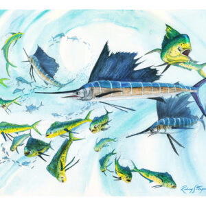 Original watercolor painting by nationally acclaimed artist Rodney Ferguson featuring a spectacular Sailfish feeding frenzy surrounded by vibrant Mahi-Mahi (Dolphinfish) and schools of baitfish in the open ocean. Multiple Sailfish slash through the water with their iconic dorsal sails raised while brilliant green and gold Mahi-Mahi pursue fleeing prey. Fine art marine wildlife watercolor celebrating offshore fishing, pelagic ecosystems, sportfishing heritage, and ocean conservation.