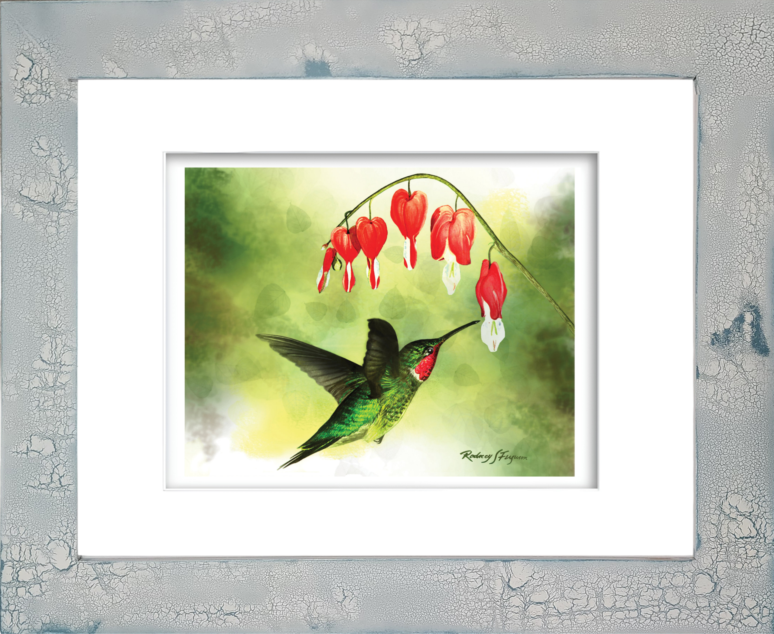 Rodney's watercolor giclée print of a male Ruby-Throated Hummingbird displaying its brilliant ruby-red throat patch and iridescent emerald-green crown as it approaches a vibrant Firebush flower for nectar. Mounted in a handcrafted distressed and crackled coastal frame, this archival bird artwork captures the beauty of hummingbirds, native pollinators, and colorful garden flowers.