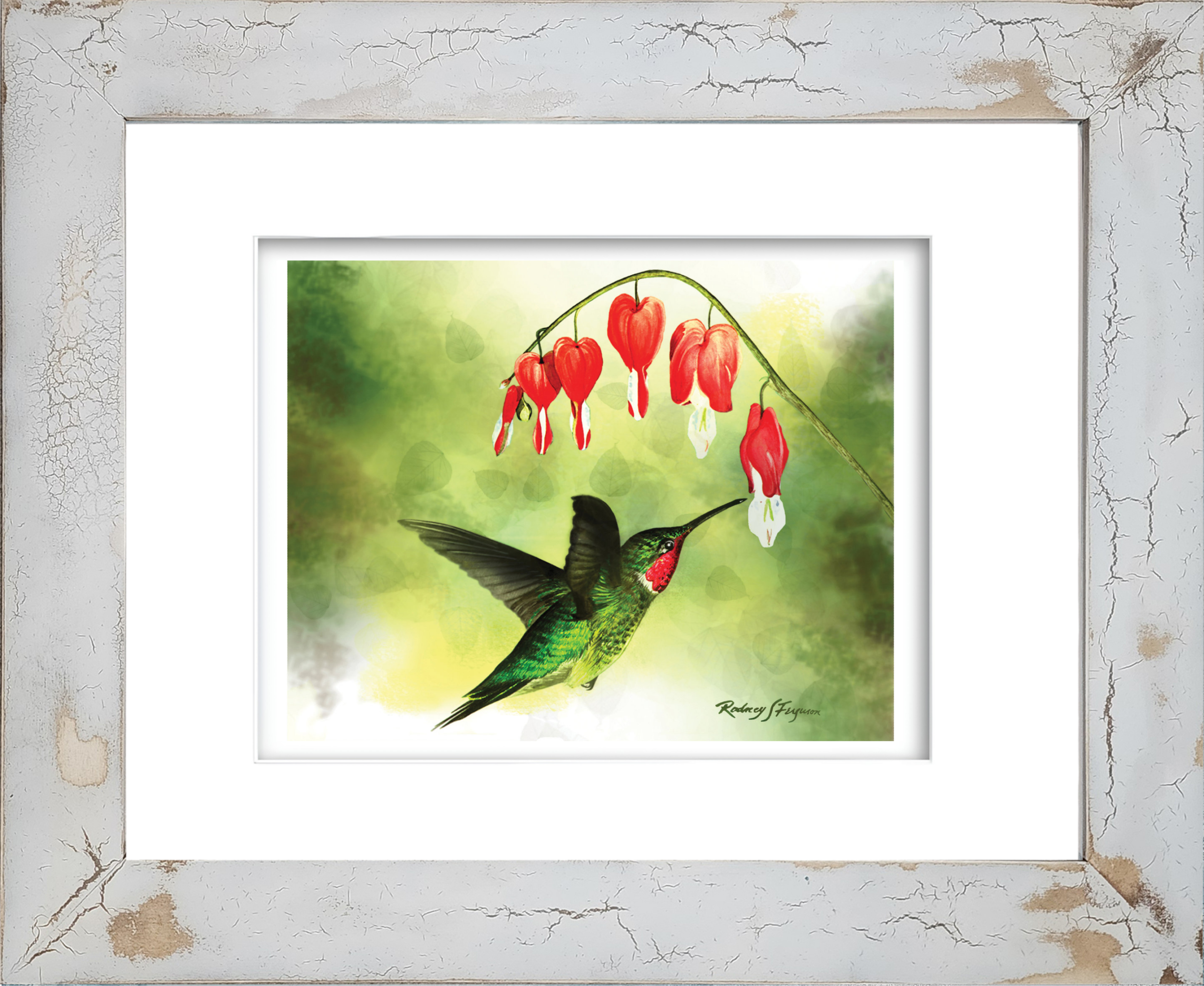 Rodney's watercolor giclée print of a male Ruby-Throated Hummingbird displaying its brilliant ruby-red throat patch and iridescent emerald-green crown as it approaches a vibrant Firebush flower for nectar. Mounted in a handcrafted distressed and crackled coastal frame, this archival bird artwork captures the beauty of hummingbirds, native pollinators, and colorful garden flowers.